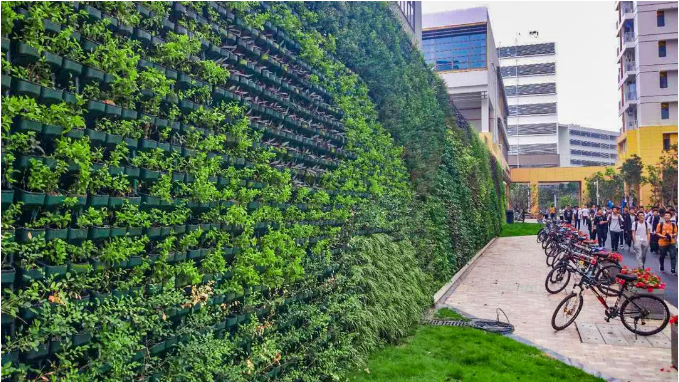 1559696909215207.png 1559696909215207.png